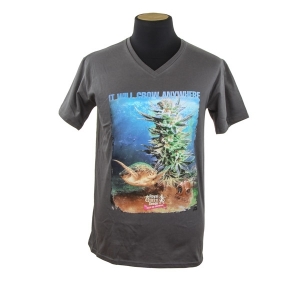 Royal Queen Seeds T-shirt Turtle