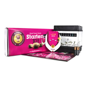 Starter Kit Feminized 