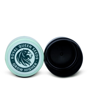 Dochío Kenou RQS gia Kánnavi