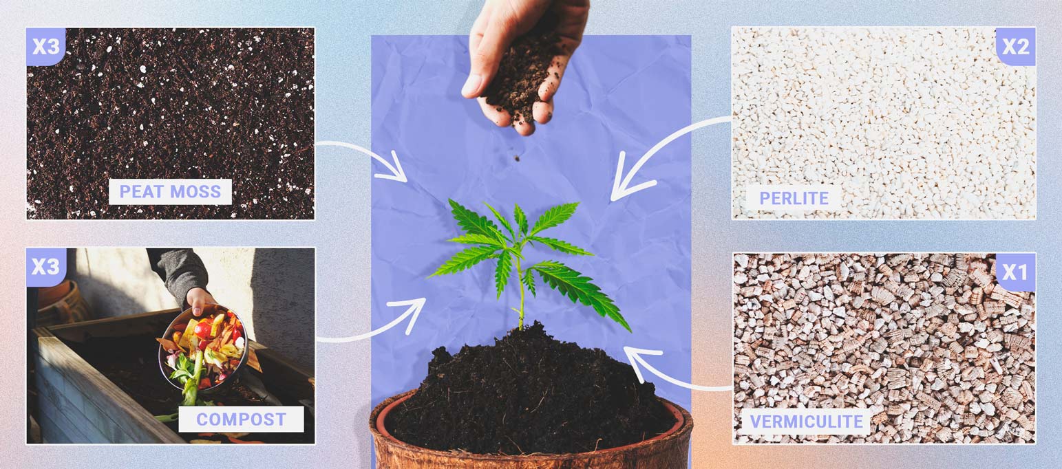 The Best Soil For Growing Autoflowering Cannabis The Best Soil For Growing Autoflowering Cannabis