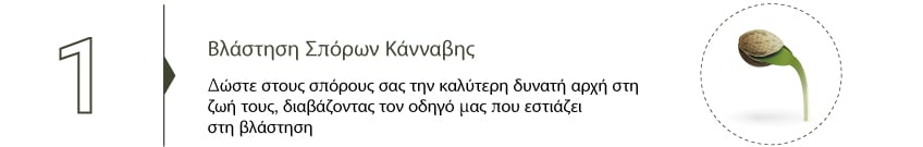 Συλλεξτε Την Κανναβη Σας