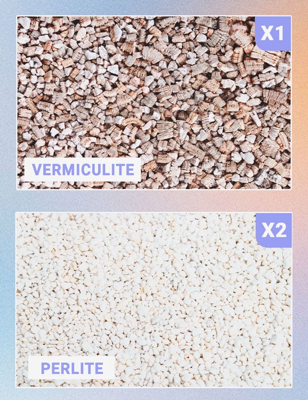 The Best Soil For Growing Autoflowering Cannabis The Best Soil For Growing Autoflowering Cannabis