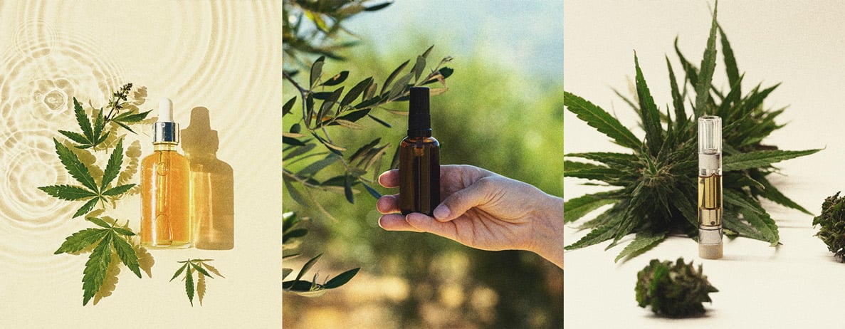 When and How to Use CBD When and How to Use CBD