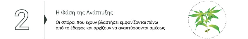 Συλλεξτε Την Κανναβη Σας