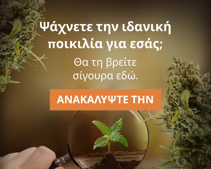 Cannabis Seedfinder