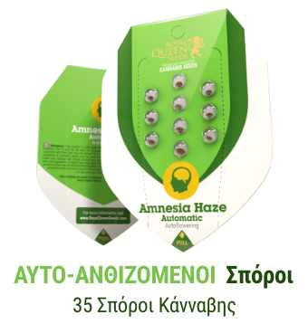 sporoi kannabis auto anthisis