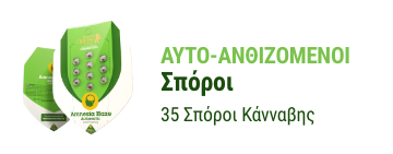 sporoi kannabis auto anthisis