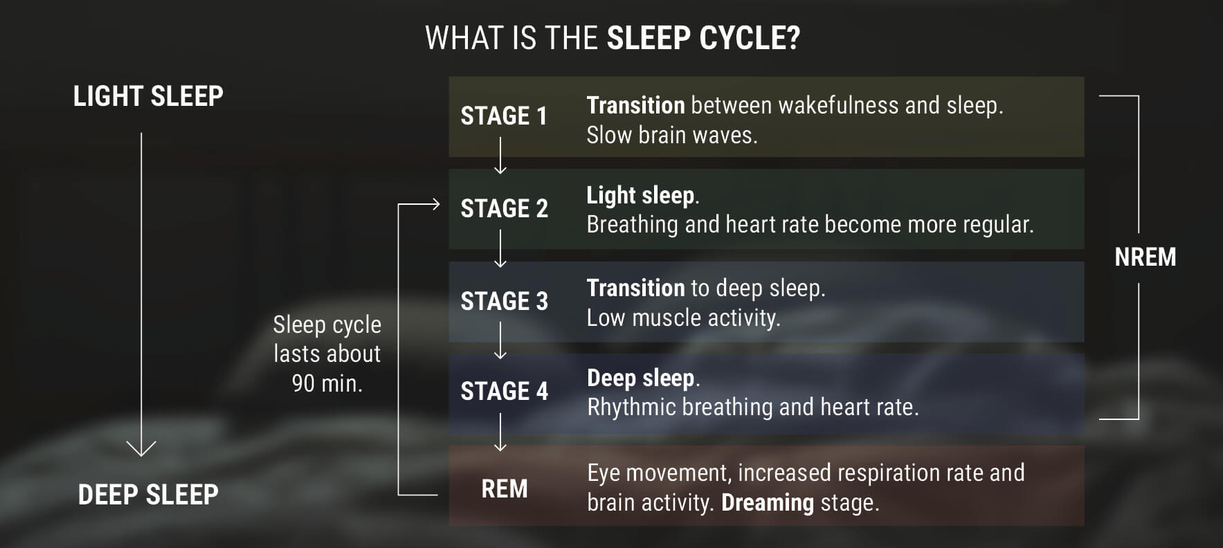 Τι Είναι Ο Κύκλος Ύπνου-Αφύπνισης;