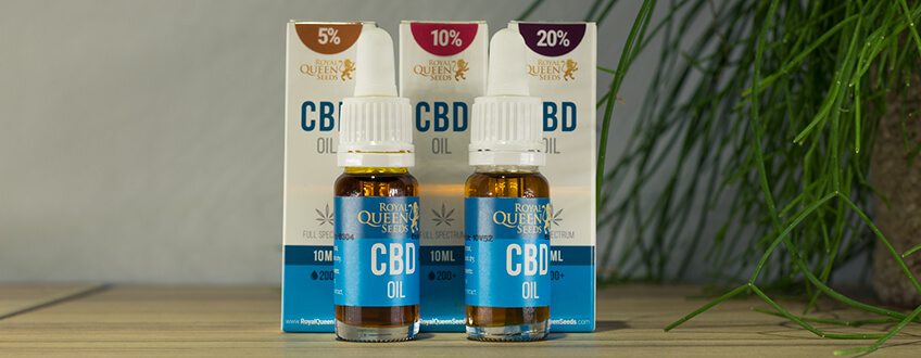 CBD Oil από Royal Queen Seeds