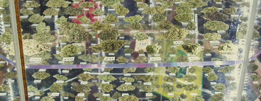Ποικιλίες Κάνναβης της RQS που Κέρδισαν Cannabis Cup