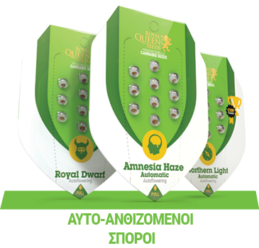 autoflowering cannabis seeds