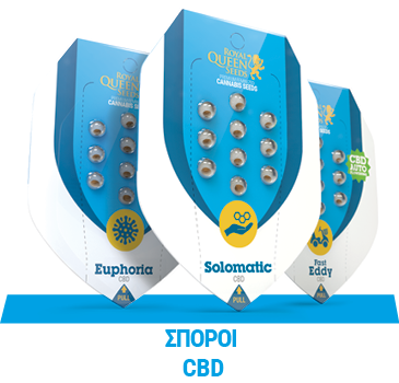 cbd-cannabis-seeds