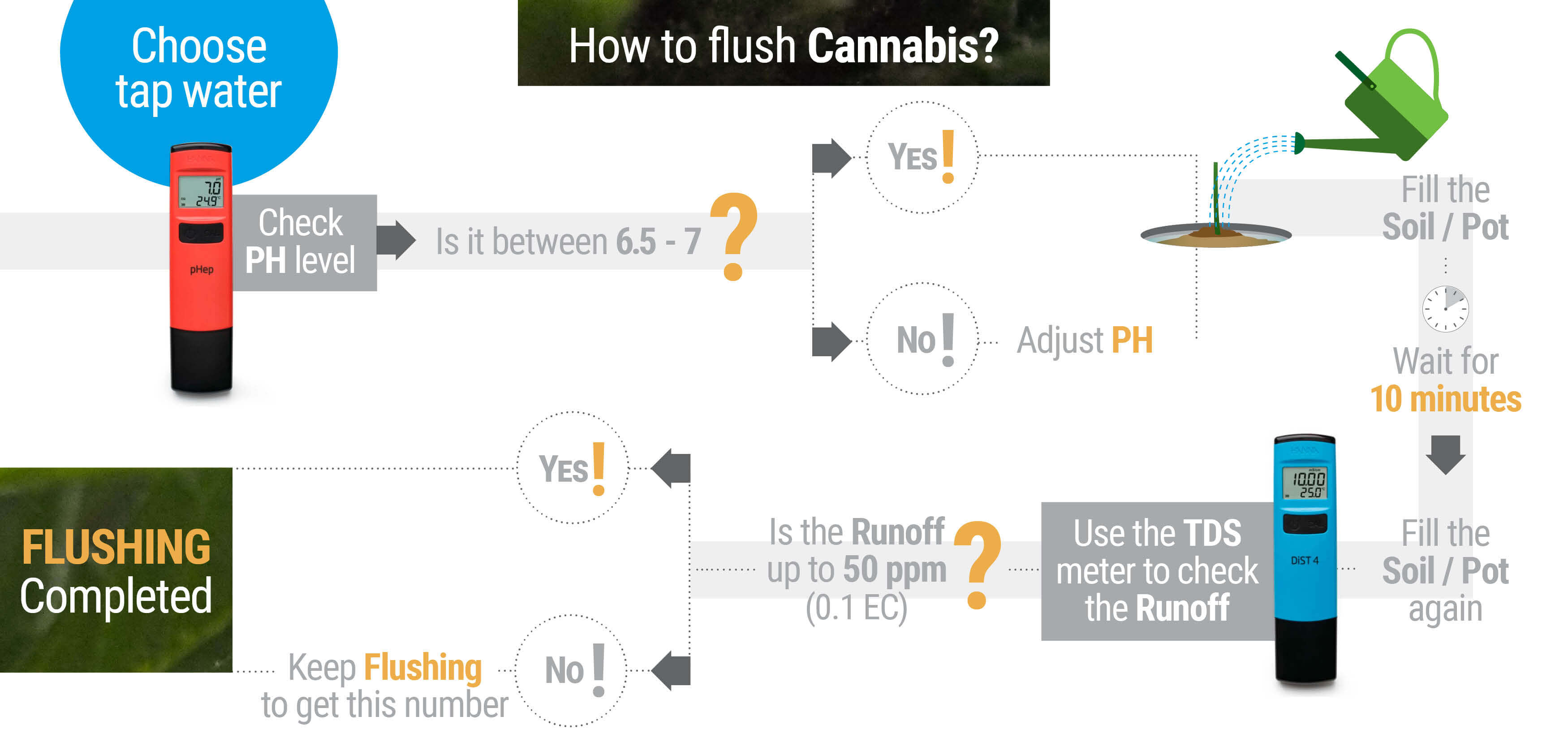 How and When to Flush Marijuana Plants How and When to Flush Marijuana Plants