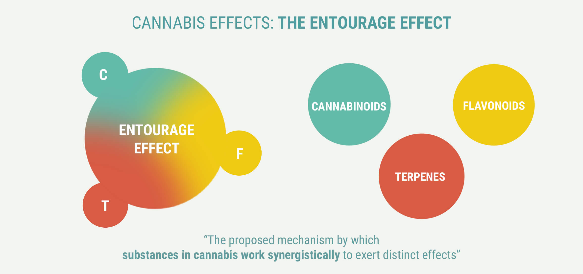 The Entourage Effect The Entourage Effect