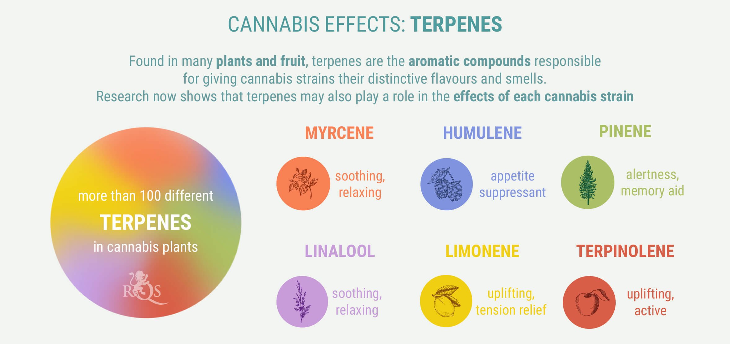 Terpenes Terpenes