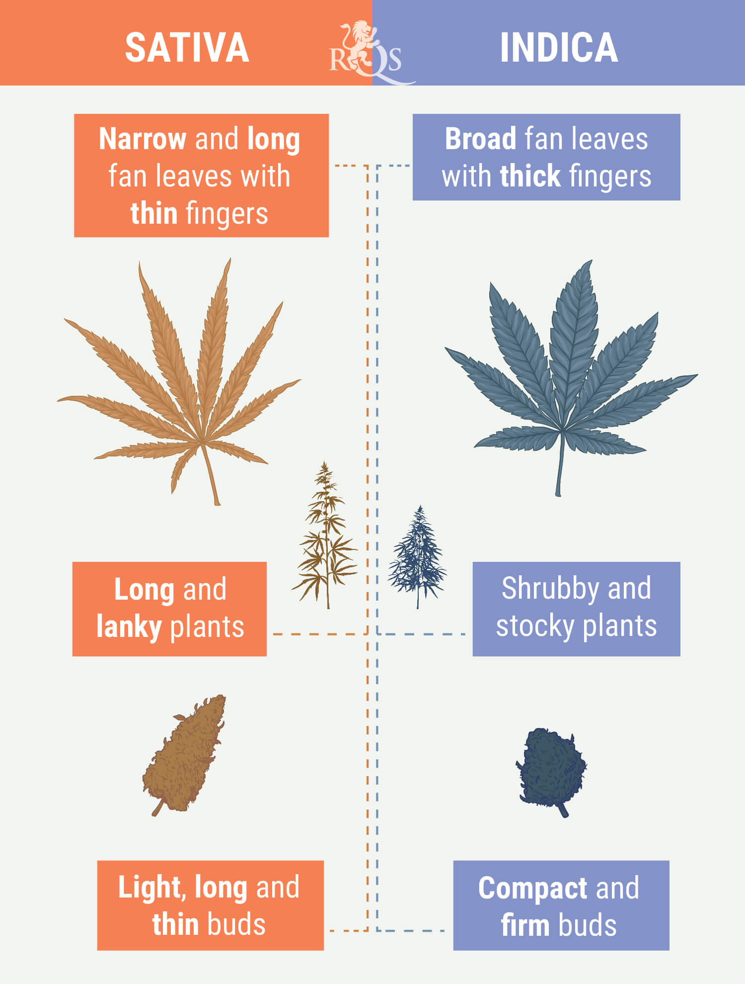 Sativa vs Indica Sativa vs Indica