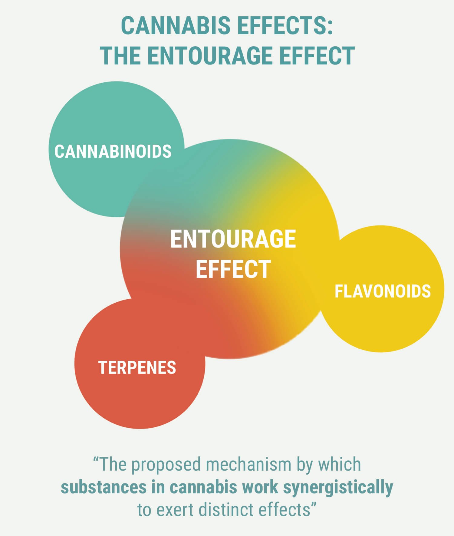 The Entourage Effect The Entourage Effect