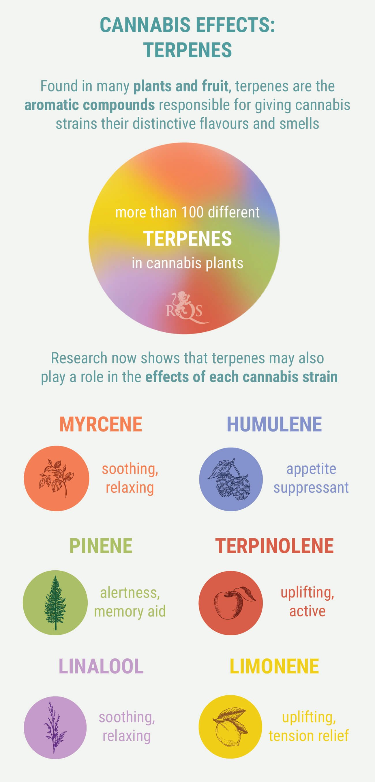 Terpenes Terpenes