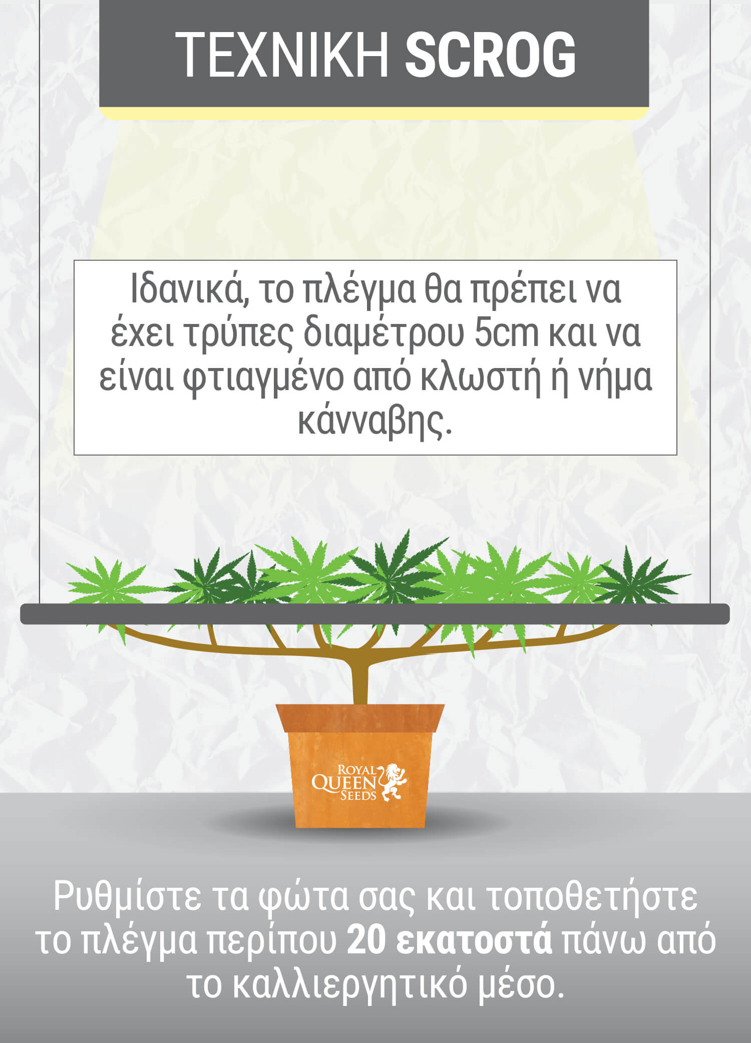 ΤΙ ΕΙΝΑΙ Η ΤΕΧΝΙΚΗ SCROG; ΤΙ ΕΙΝΑΙ Η ΤΕΧΝΙΚΗ SCROG;