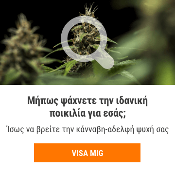 Cannabis Seedfinder