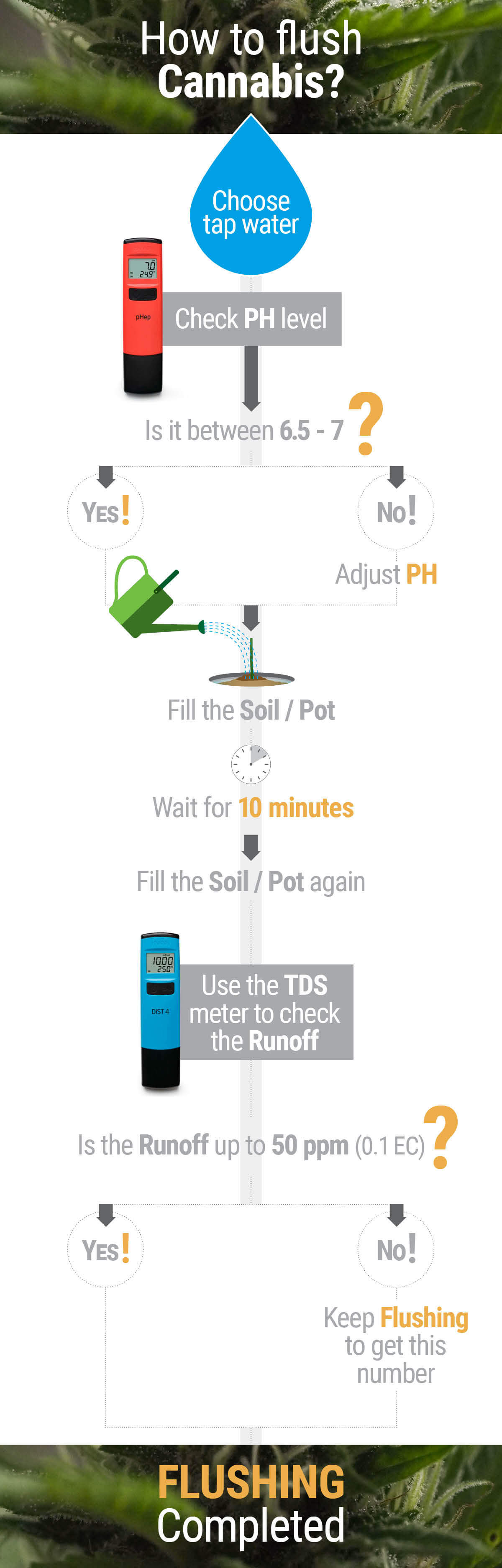 How and When to Flush Marijuana Plants How and When to Flush Marijuana Plants