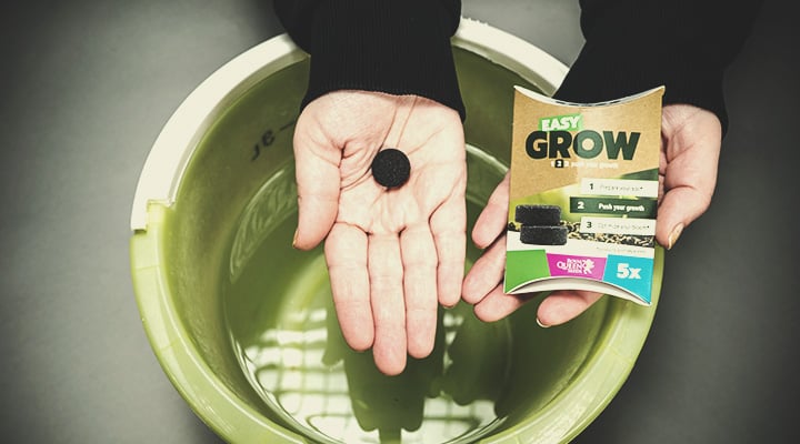 Easy Grow Easy Grow