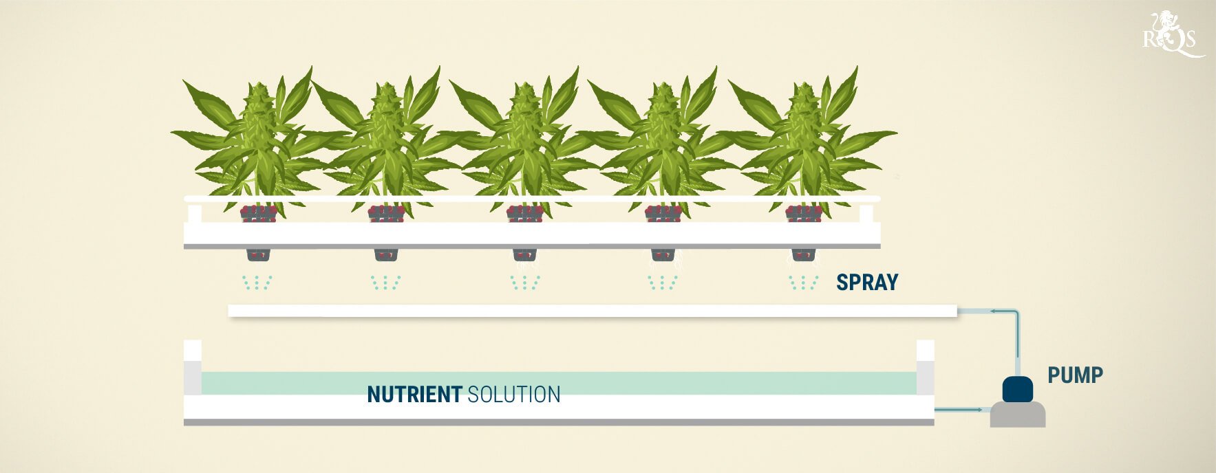 Aeroponics Aeroponics