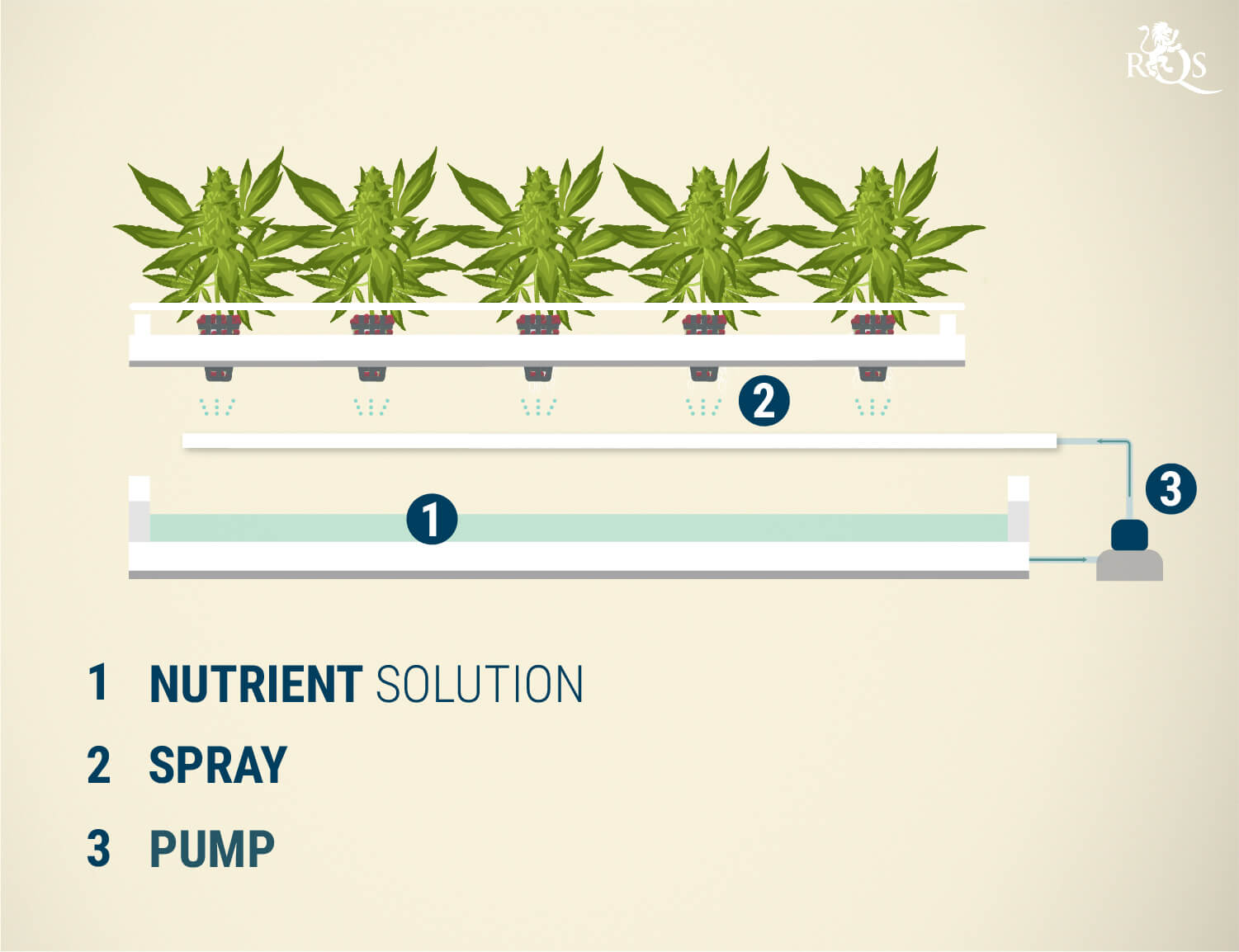 Aeroponics Aeroponics