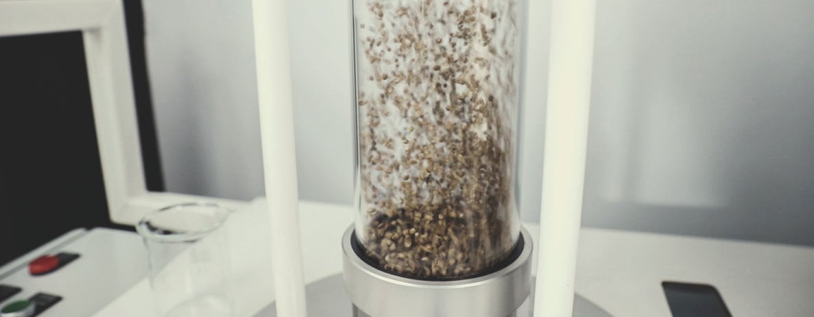 Η Διαδικασία Ποιοτικού Ελέγχου της Royal Queen Seeds: Βήμα προς Βήμα Η Διαδικασία Ποιοτικού Ελέγχου της Royal Queen Seeds: Βήμα προς Βήμα