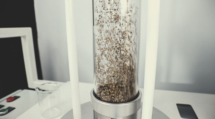 Η Διαδικασία Ποιοτικού Ελέγχου της Royal Queen Seeds: Βήμα προς Βήμα Η Διαδικασία Ποιοτικού Ελέγχου της Royal Queen Seeds: Βήμα προς Βήμα