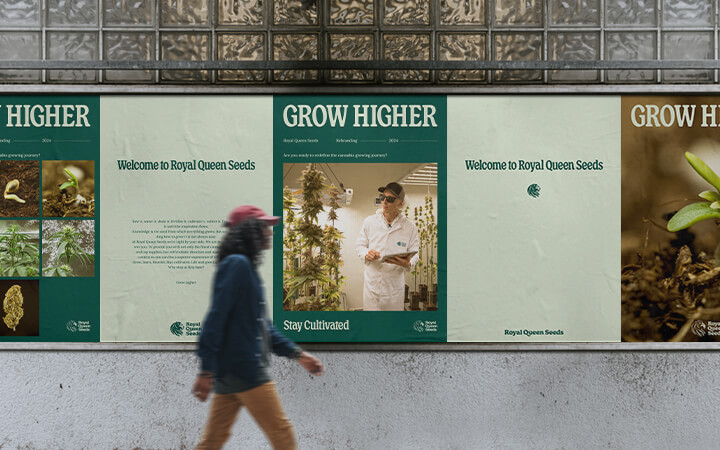 Royal Queen Seeds Rebranding