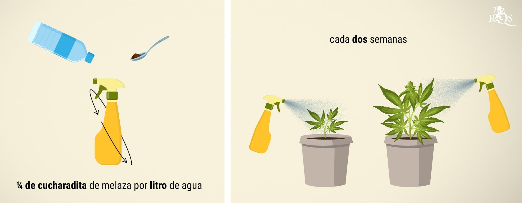 Uso de melaza para pulverización foliar Uso de melaza para pulverización foliar