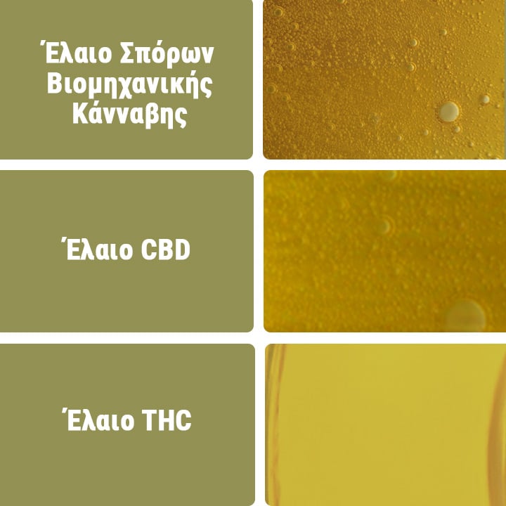 Έλαιο Σπόρων Βιομηχανικής Κάνναβης Έλαιο Σπόρων Βιομηχανικής Κάνναβης