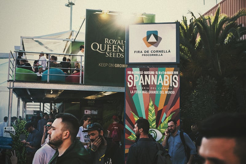 Spannabis 2019: Η RQS κέρδισε το βραβείο Καλύτερη Τράπεζα Σπόρων!