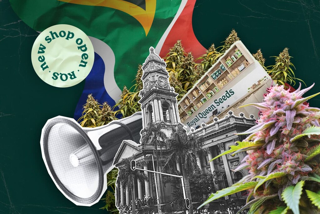 Η Royal Queen Seeds Ανοίγει το Πρώτο Κατάστημα στο Durban, Φέρνοντας Premium Σπόρους Κάνναβης στη Νότια Αφρική