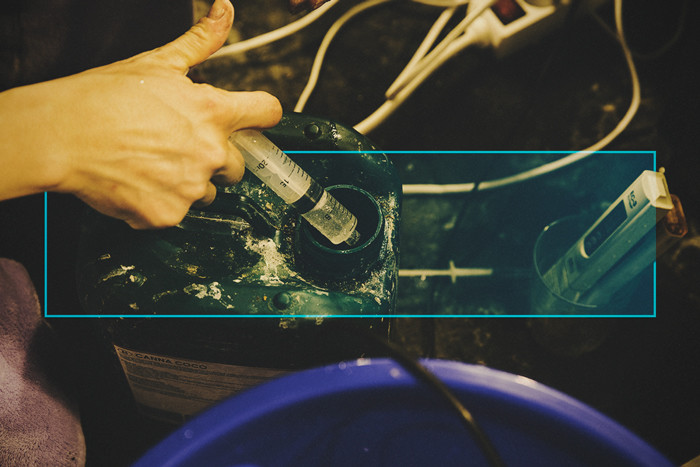 Θρεπτικά Συστατικά Κάνναβης: Γιατί, Πώς Και Πότε Να Τα Χορηγείτε Στα Φυτά Σας