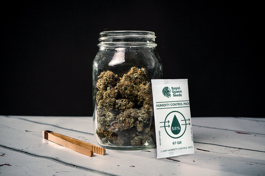 Πώς να Αποφύγετε το Μούχλιασμα της Κάνναβης Κατά την Αποξήρανση και την Ωρίμαση 