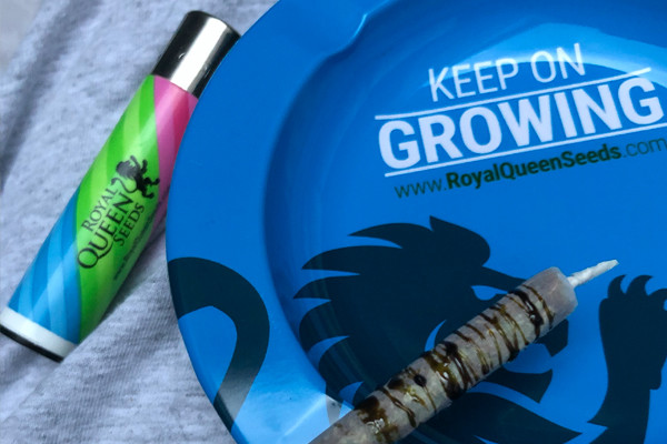 Τασάκι Royal Queen Seeds Τασάκι Royal Queen Seeds