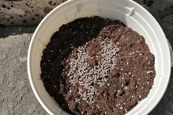 Easy Boost Organic Nutrition  Easy Boost Organic Nutrition