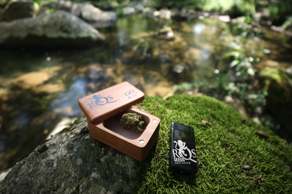 Αναπτήρας Plasma της RQS