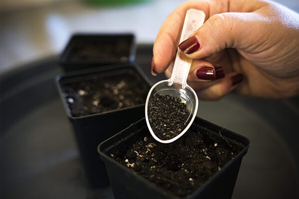 Easy Roots - Μείγμα Μυκόρριζας