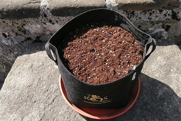 Υφασμάτινη Γλάστρα RQS