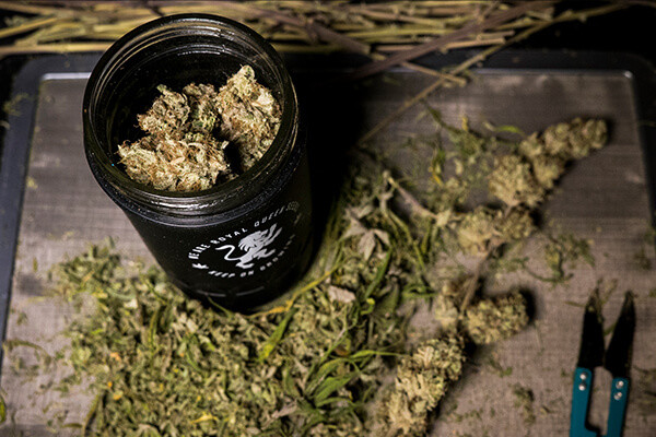 Βάζο Αποθήκευσης RQS Re:stash