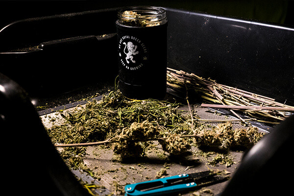 Βάζο Αποθήκευσης RQS Re:stash