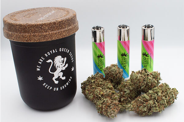 Βάζο Αποθήκευσης RQS Re:stash