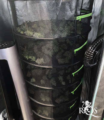 Καλάθι Αποξήρανσης  Καλάθι Αποξήρανσης